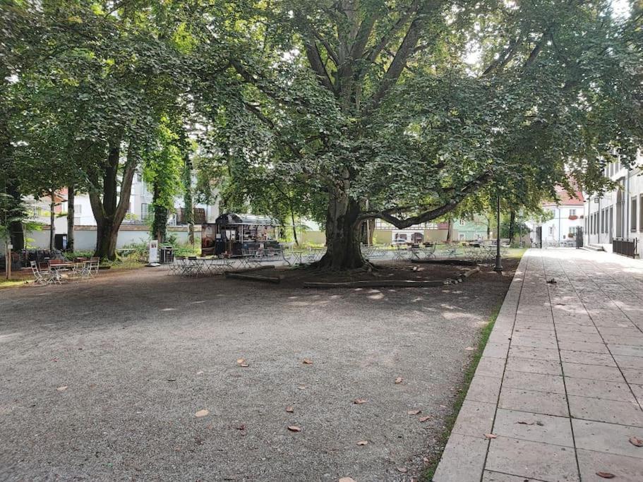 -Stadthaus Ida- Mit Grosser Dachterasse, Am Schlosspark, Luftkurort Kisslegg, Boxspringbetten, Kaffeevollautomat, Smarttv, Familienfreundlich, Grosszuegig, Zentral מראה חיצוני תמונה