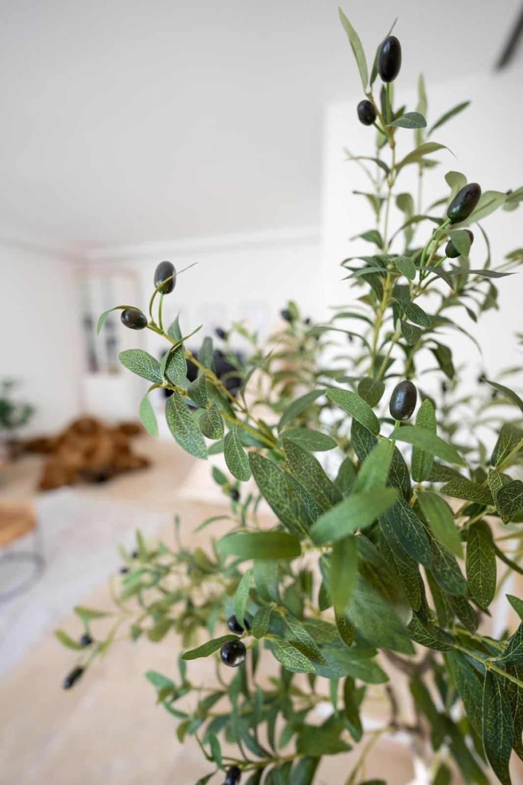 -Stadthaus Ida- Mit Grosser Dachterasse, Am Schlosspark, Luftkurort Kisslegg, Boxspringbetten, Kaffeevollautomat, Smarttv, Familienfreundlich, Grosszuegig, Zentral מראה חיצוני תמונה